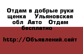 Отдам в добрые руки щенка. - Ульяновская обл. Авто » Отдам бесплатно   